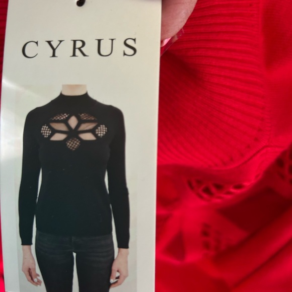Cyrus Red Women's Sweater with Geometric Cutout - Picture 8 of 10